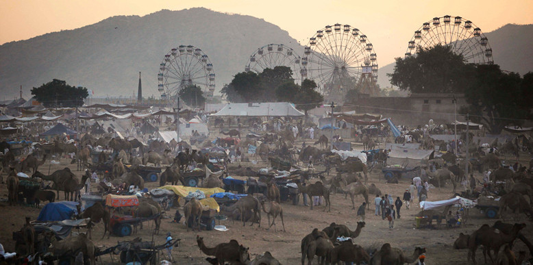 puskar-camel-fair