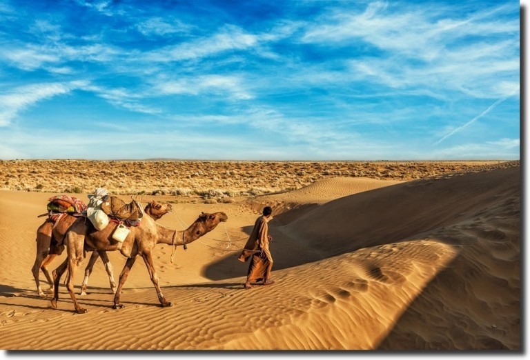 pushkar-camel-fair