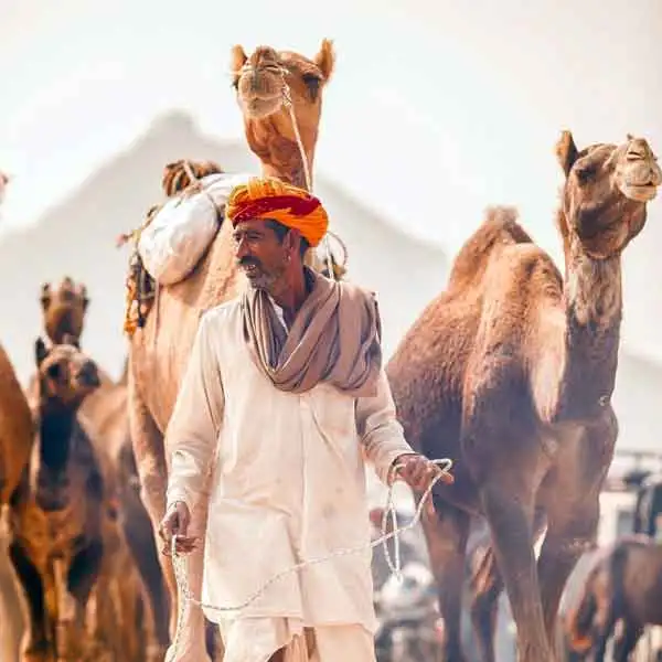 Adventure in Rajasthan