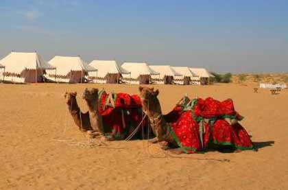 Desert Camping in Jaisalmer with Camel Safari