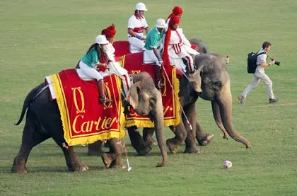 Rajasthan Elephant Polo
