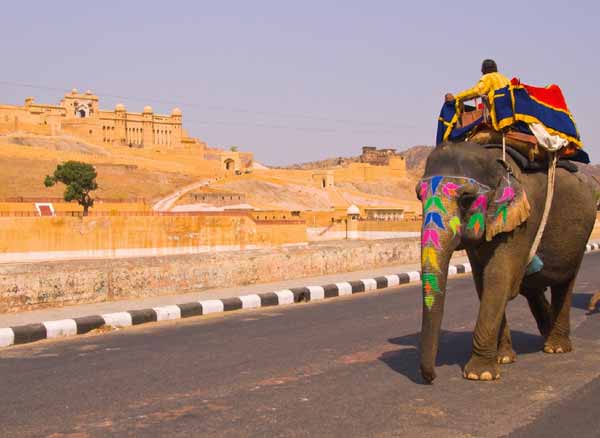 Full-Day Jaipur City Tour Package