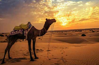 Jaisalmer Customized Tour Packages