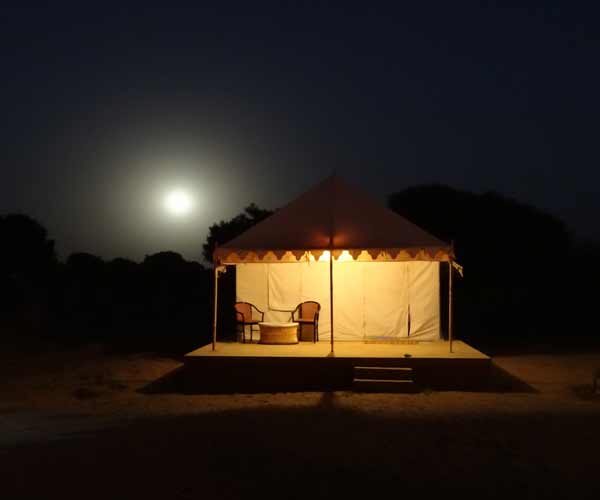 night stay at desert camp