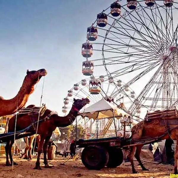 Rajasthan Fair Festivals