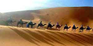 sam sand dunes Jaisalmer
