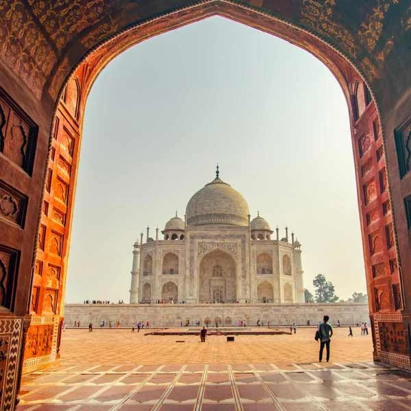 North India Tour With Taj