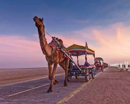Things to do in Gujarat
