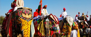 The Elephant Festival is an inimitable event held annually in Jaipur. Groomed flawlessly, rows of elephants do a catwalk before an enthralled audience liked best fashion models to make this festival an amazing one. The elephants move with poise in pageant, run races, play the regal game of polo, and finally participate in the spring festival of Holi. It is festival time with elephants typically celebrated one day before the Holi, Indian festival of colours.