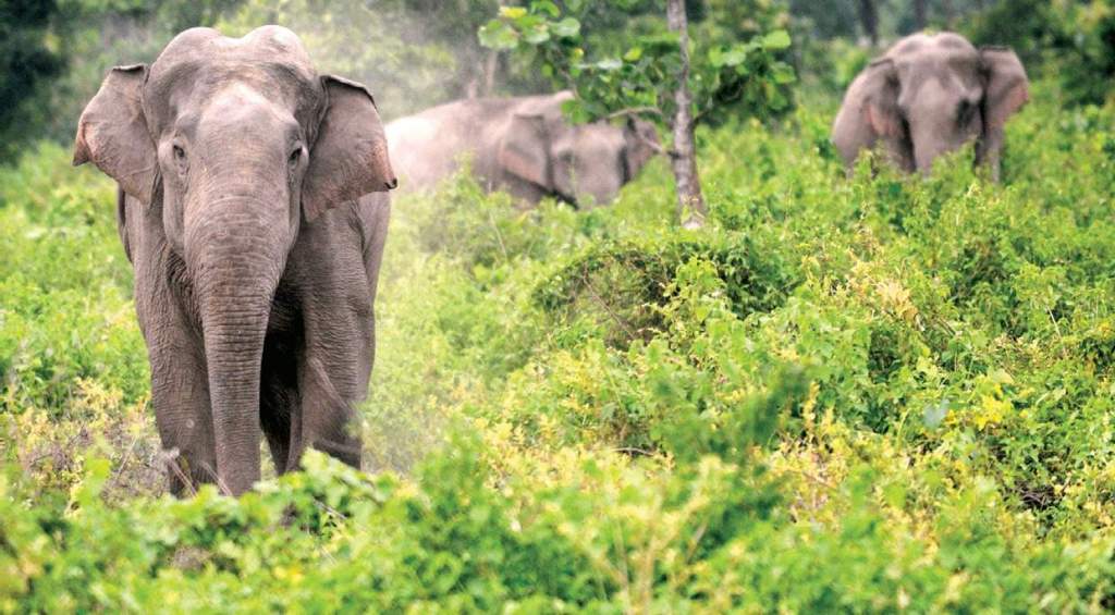 Top 10 Monsoon Destinations in India