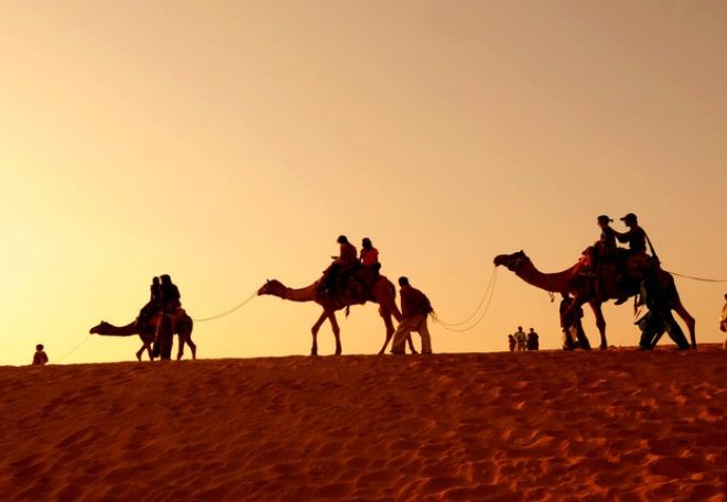 Bikaner – the camel country