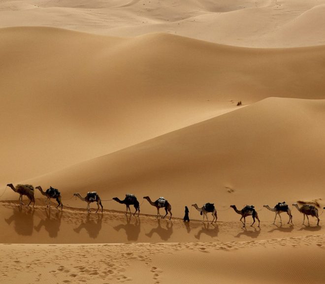 Desert Safari in jaisalmer