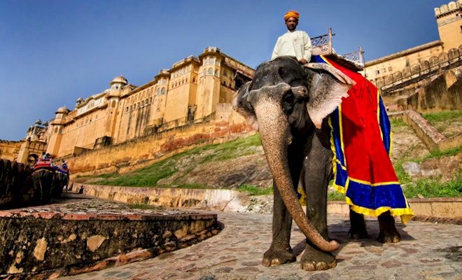 Amer Fort : Famous For His Architecture And History