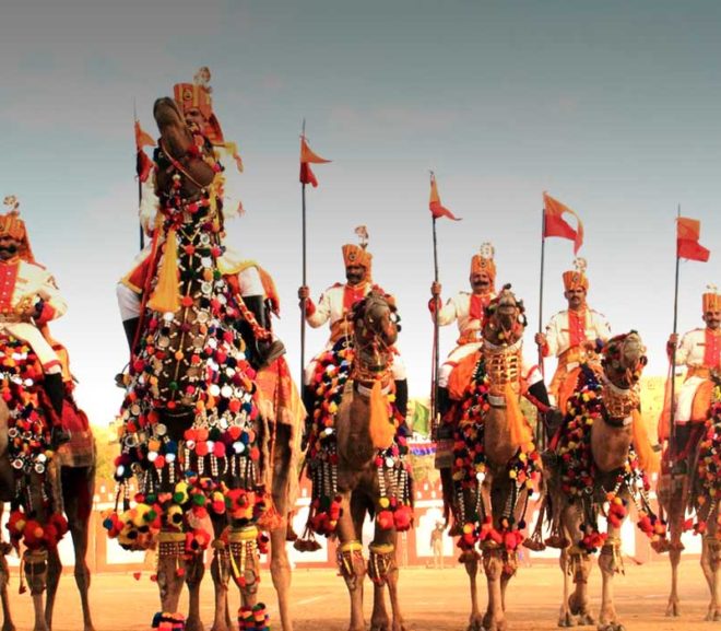 Bikaner Festival dei cammelli – Testimoni accattivanti pratiche ritualistiche e abitudini multicolori
