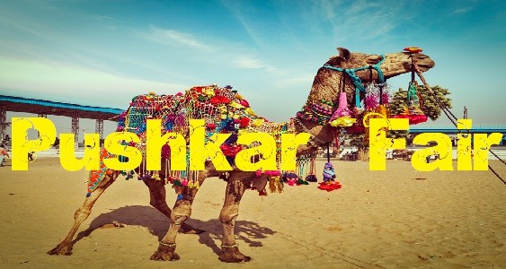 Visit Pushkar Camel Fair To Enjoy The Traditional Indian Festival