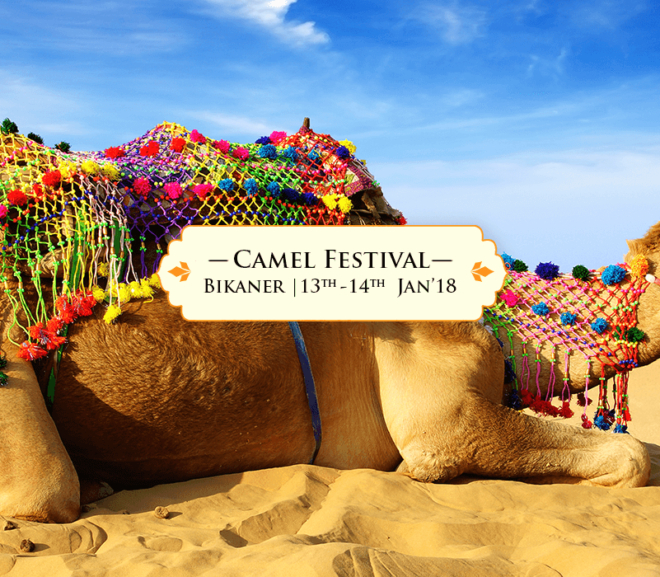 Camel Festival Bikaner –  Witness Captivating Ritualistic Practices And Multi-Hued Customs