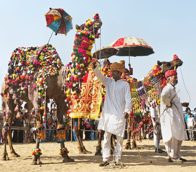 Attrazioni popolari del Rajasthan
