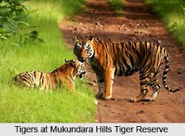 Reservas de tigres en Rajasthan