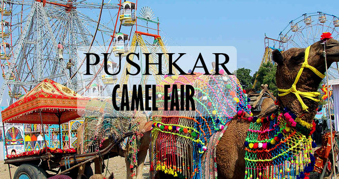 Pushkar Camel Fair : Arguably The World’s Largest Camel Fair