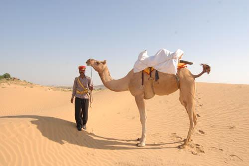 Jodhpur visita de la ciudad de día completo con Safari del desierto de Osian