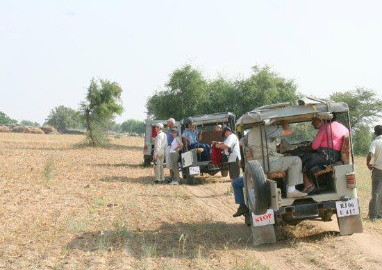 Adventures Activities In Rajasthan