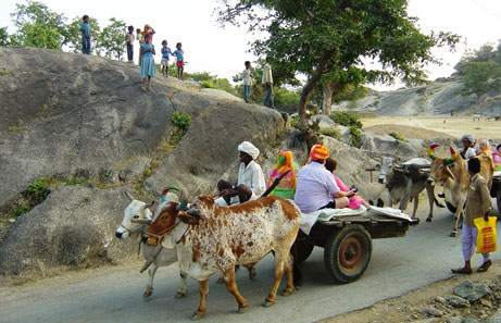 Visit Rural Side Of Rajasthan