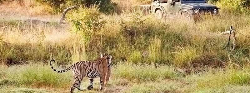 Kumbhalgarh Wildlife Sanctuary