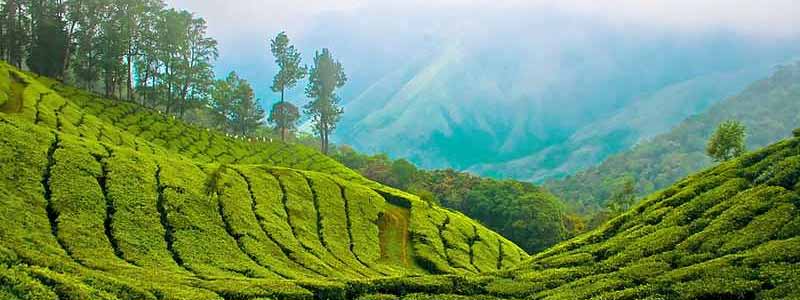 Munnar