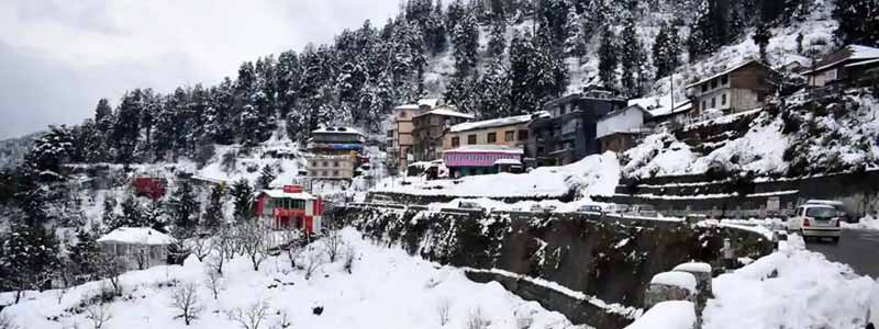 Shimla