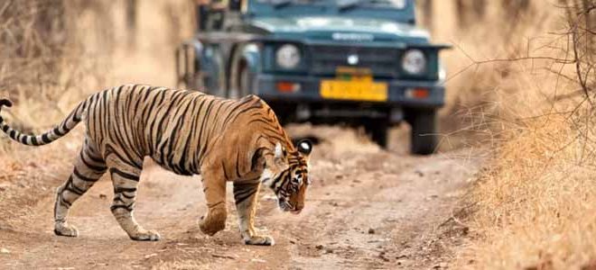 10 Places To Visit In Ranthambore