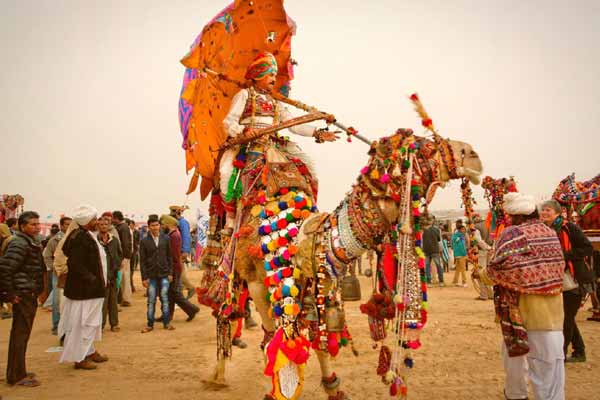 A Complete Guide on Pushkar Camel Fair 2023