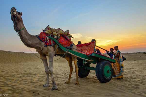 Places To Visit In India in February