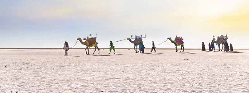 Rann Utsav Gujarat