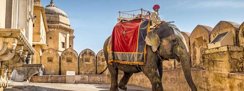 Ride Elephant Amer Fort