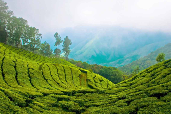 10 Most Beautiful Hill Stations in South India