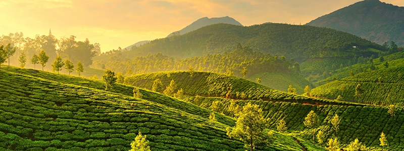 Munnar