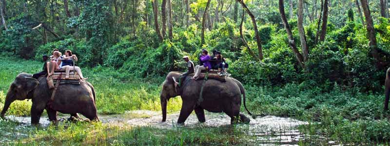 Chitwan National Park