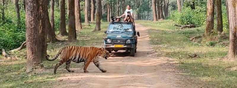 Kanha Tiger Reserve