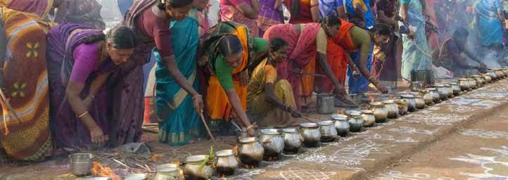 Pongal Festival, Tamil Nadu