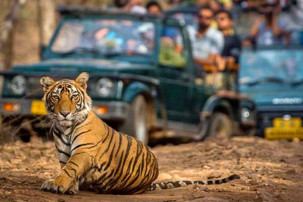 8 Major Tourist Attractions Ranthambore