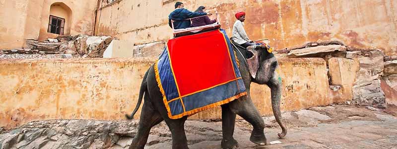 Elephant Safari Jaipur