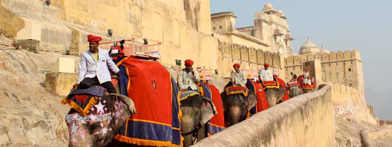 Jaipur Elephant Safari