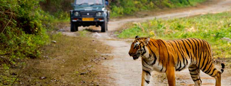 Jim Corbett Park