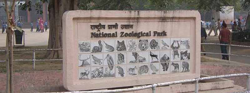 Delhii Zoological Park
