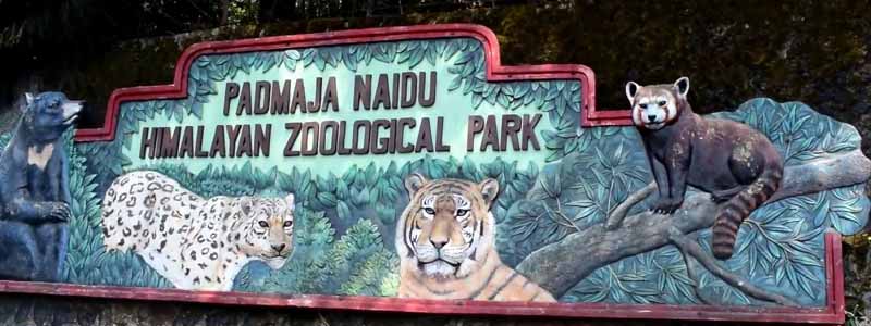 Padmaja Naidu Himalayan Zoological Park