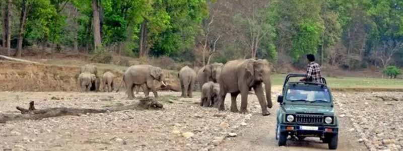 Rajaji National Park