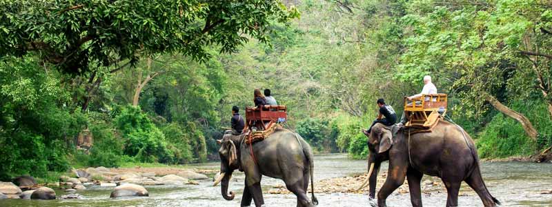 Royal Manas National Park