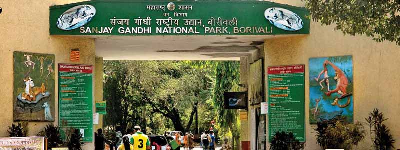 Sanjay Gandhi National Park, Mumbai