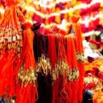 What is Raksha Bandhan Festival?