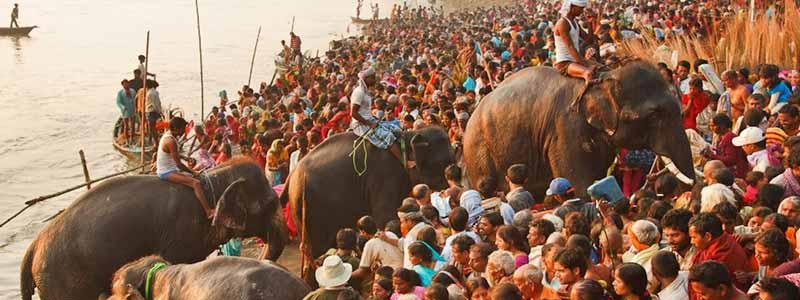 Sonepur Mela